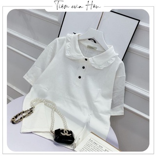 Áo phông cổ đức viền bèo, chất cotton mát mẻ, dáng basic