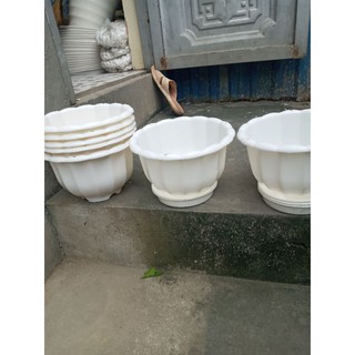 5 chậu hình bí kèm đĩa phi 22cm x15cm