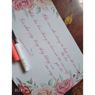 Bút mài Lê ta 368