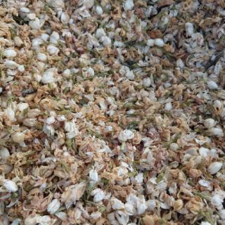 HOA LÀI KHÔ (HOA NHÀI) 1KG | THẢO MỘC NGUYÊN CHẤT | NÔNG SẢN THIÊN TÚ