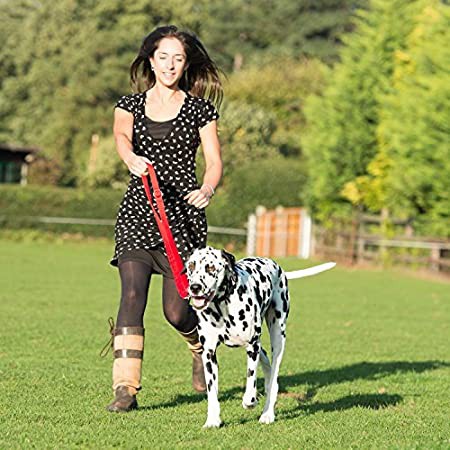 Dây dắt đa năng cho thú cưng HALTI  TRAINING LEAD (RED)(LARGE) 25 mm x 200 cm