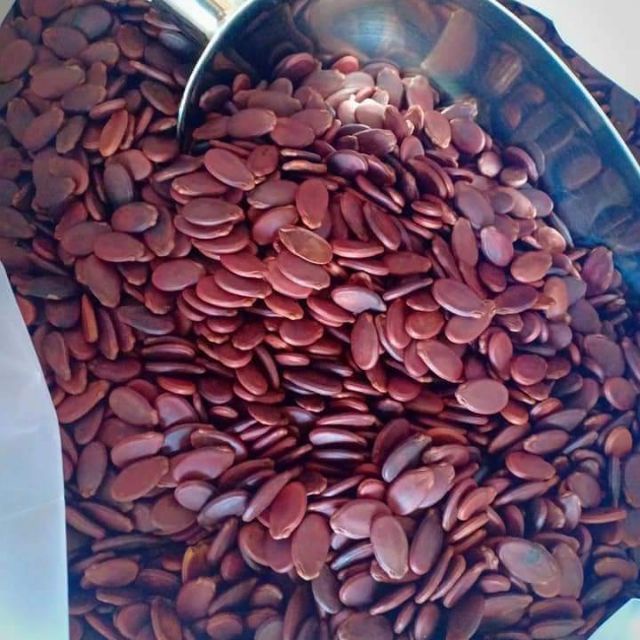 Hạt Dưa Không Phẩm Màu Có Protein Giúp Điều Hòa Huyết Áp Duy Trì Hoạt Động Của Hệ Tiêu Hóa Và Làm Đẹp Da [500G]