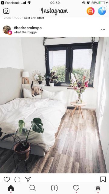 Bộ chăn ga gối cotton poly Trắng Full.