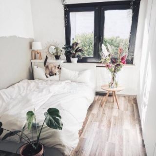 Bộ chăn ga gối cotton poly Trắng Full.