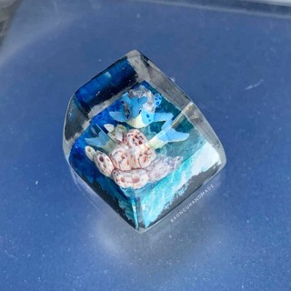 Keycap resin bàn phím cơ SA R1 lapras nhân vật Pokemon
