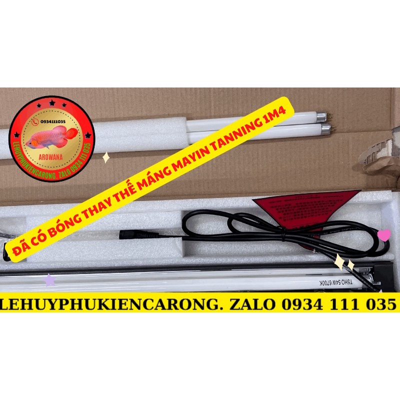 Máng Tanning MAYIN Có Dãy Led Xanh 110 140 180cm Cho Cá Rồng Huyết Long Hoặc Kim Long Quá Bối