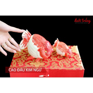 Cao Đầu Kim Ngư - Cá Vàng Đầu Lân 12cm - 8cm - Sứ Giao Chỉ (trong hộp gỗ bọc nhung)