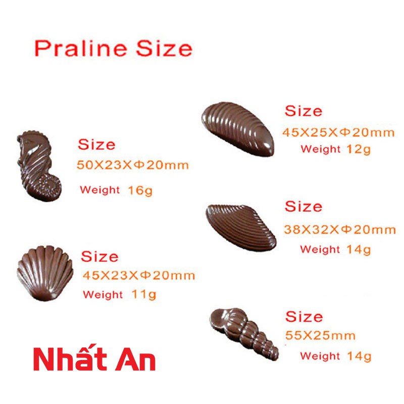 Khuôn socola bonbon ốc sò Shunda 2061