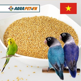 1Kg Kê vàng thức ăn dành cho các loại vẹt, kê Nghệ An, Việt Nam