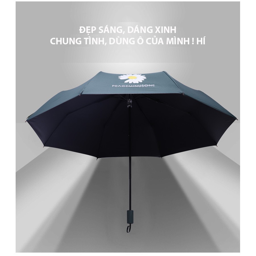 Ô Dù Hàn Quốc Chống Tia UV Hình Hoa Cúc, Chất Liệu Vải Dù Mật Độ Cao, Chống Nước Tuyệt Đối