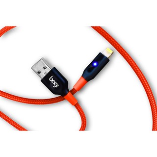 Cáp Sạc Lightning USB Type C 💖 𝘍𝘳𝘦𝘦𝘴𝘩𝘪𝘱 💖 Cáp Dù Tự Ngắt Bagi iL150 Iphone iL150RD2020 - SP28