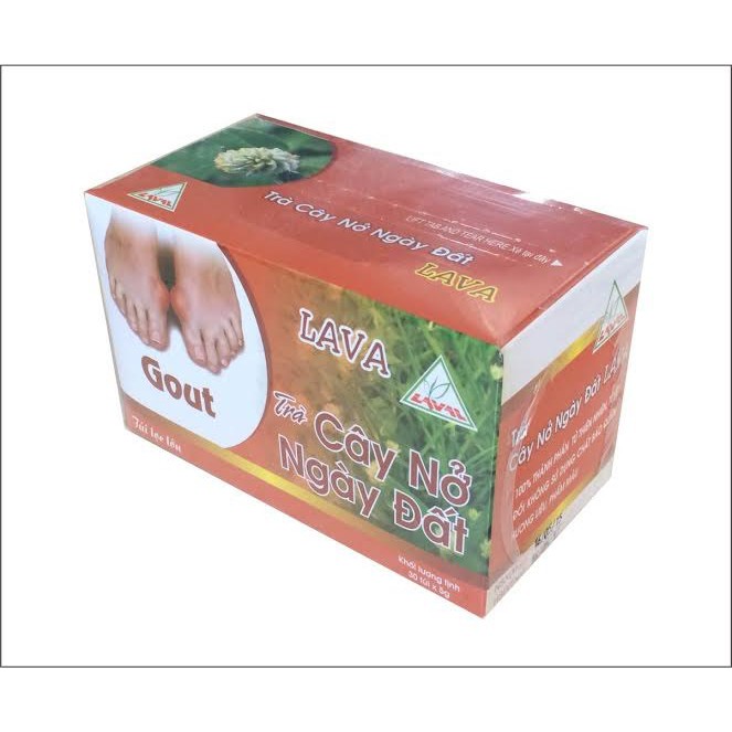 Trà Cây Nở Ngày Đất – Dành Cho Bệnh Gút