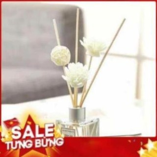 Tinh Dầu Thơm Phòng Beautiful Life Để Phòng Ngủ Phòng Tắm (Đại Thành Shop)
