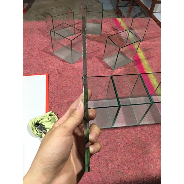 Kính kè cá 2 mặt beta,guppy