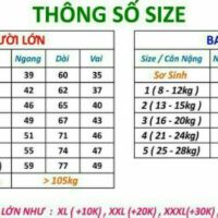 Combo 4 áo thun in theo size
