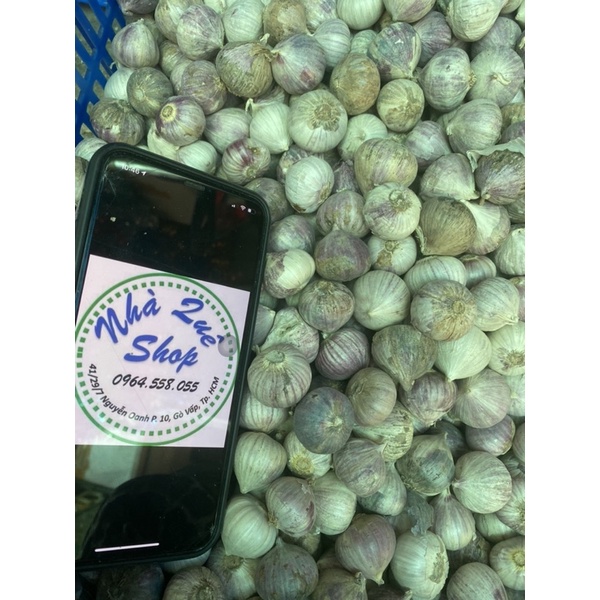 1kg Tỏi cô đơn Phan Rang làm tỏi đen size to (có bỏ sỉ) | BigBuy360 - bigbuy360.vn