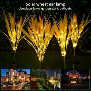 Đèn led năng lượng mặt trời chuyên dụng cho sân vườn