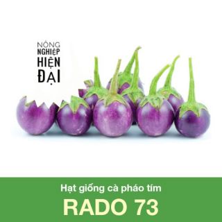 Hạt giống cà pháo tím