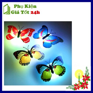 ĐÈN LED DÁN TƯỜNG HÌNH CON BƯỚM CỰC XINH (MÀU NGẪU NHIÊN)