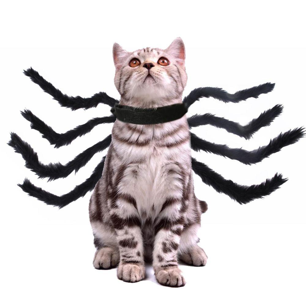 Bộ Đồ HóA Trang NhệN Halloween Cho Thú Cưng