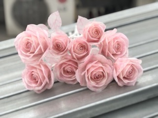 Set 10b hoa hồng giấy can
