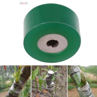 Cuộn Nilon Ghép Cây Chuyên Dụng Siêu Dai và không Tự Hoại 3CM - 4Cm - 5Cm