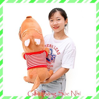 Gấu bông chó puco cao cấp