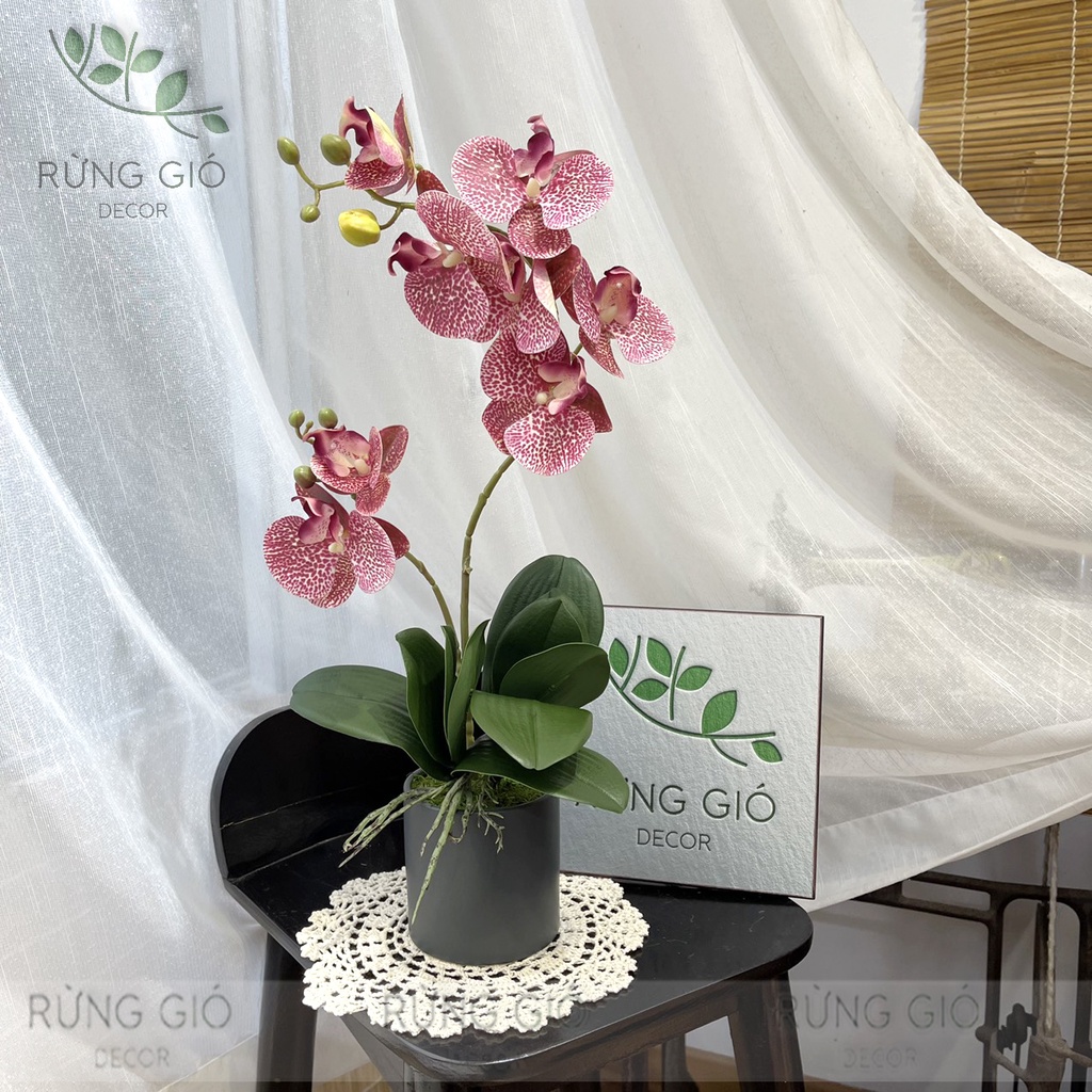 Set chậu Lan Hồ Điệp cành 2 NHÁNH SIZE TO , cao 47cm, lọ lan nhân tạo trang trí, mã set13