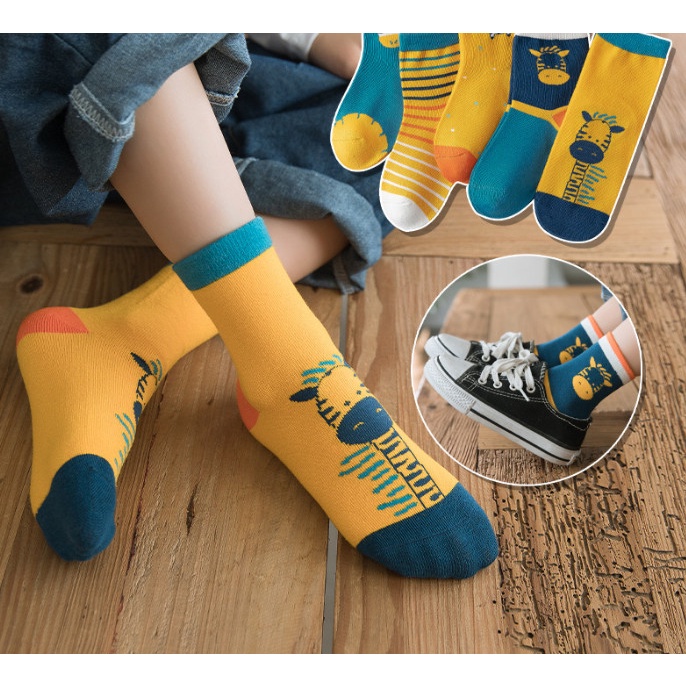 Set 5 đôi tất mùa đông bé trai bé gái