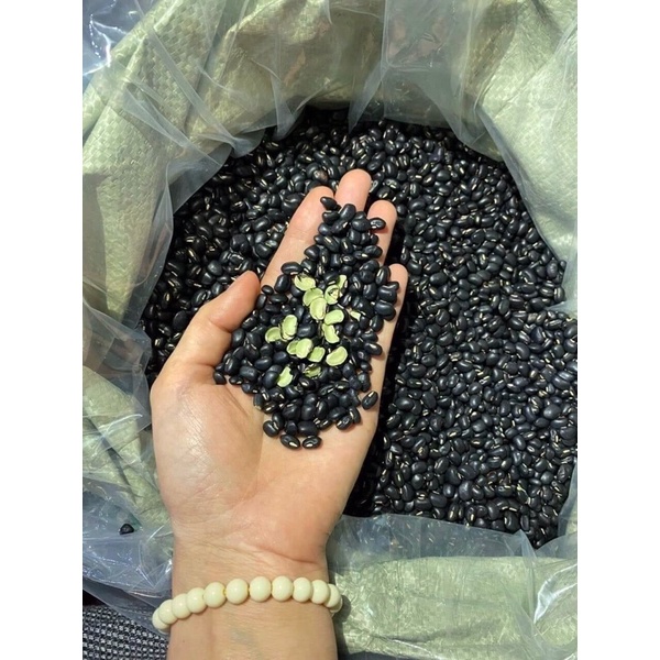 Đỗ đen xanh lòng túi zip 1kg loại ngon đậu quê nhà trồng