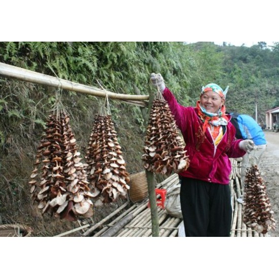 [200G ĂN THỬ] Nấm Hương Cao Bằng