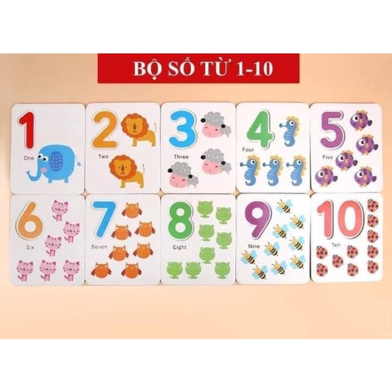 Bộ toán học kèm que tính và bút cho bé