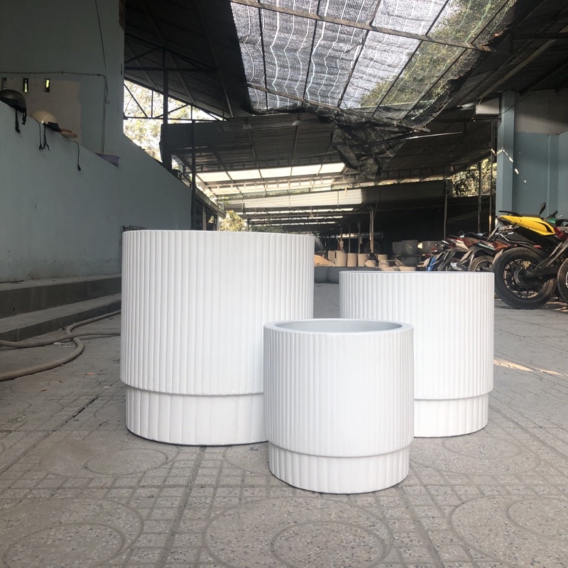 Chậu xi măng khía chỉ cao