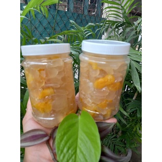 ĐÁT RIM BAO NGON (0.5KG/HỦ)