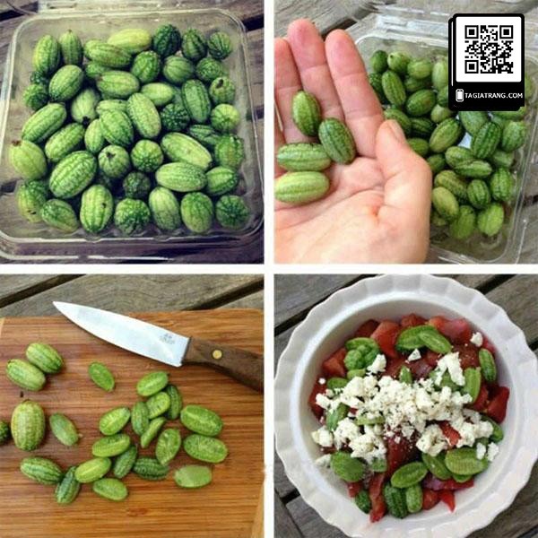 Hạt giống dưa hấu mini tí hon - Gói 5 hạt