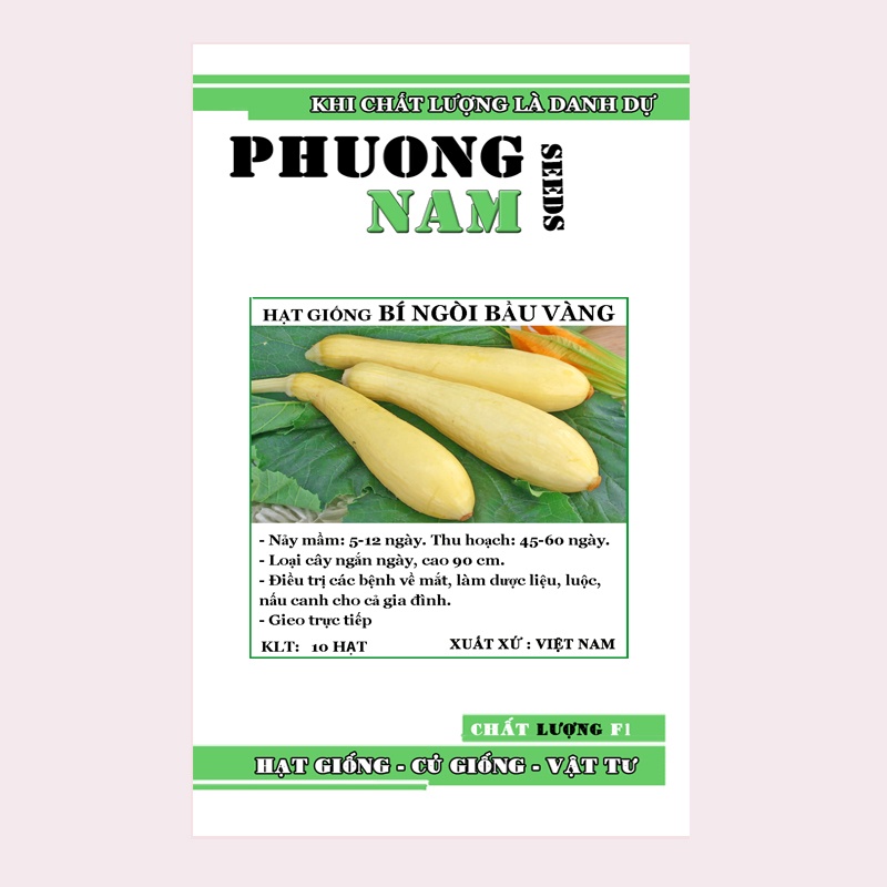 10H - HẠT GIỐNG BÍ NGÒI BẦU VÀNG