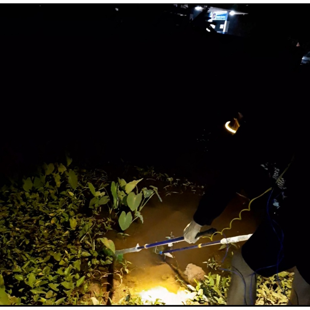 Đèn pin đội đầu kẹp bình ác quy 12v siêu sáng ,ánh sáng vàng