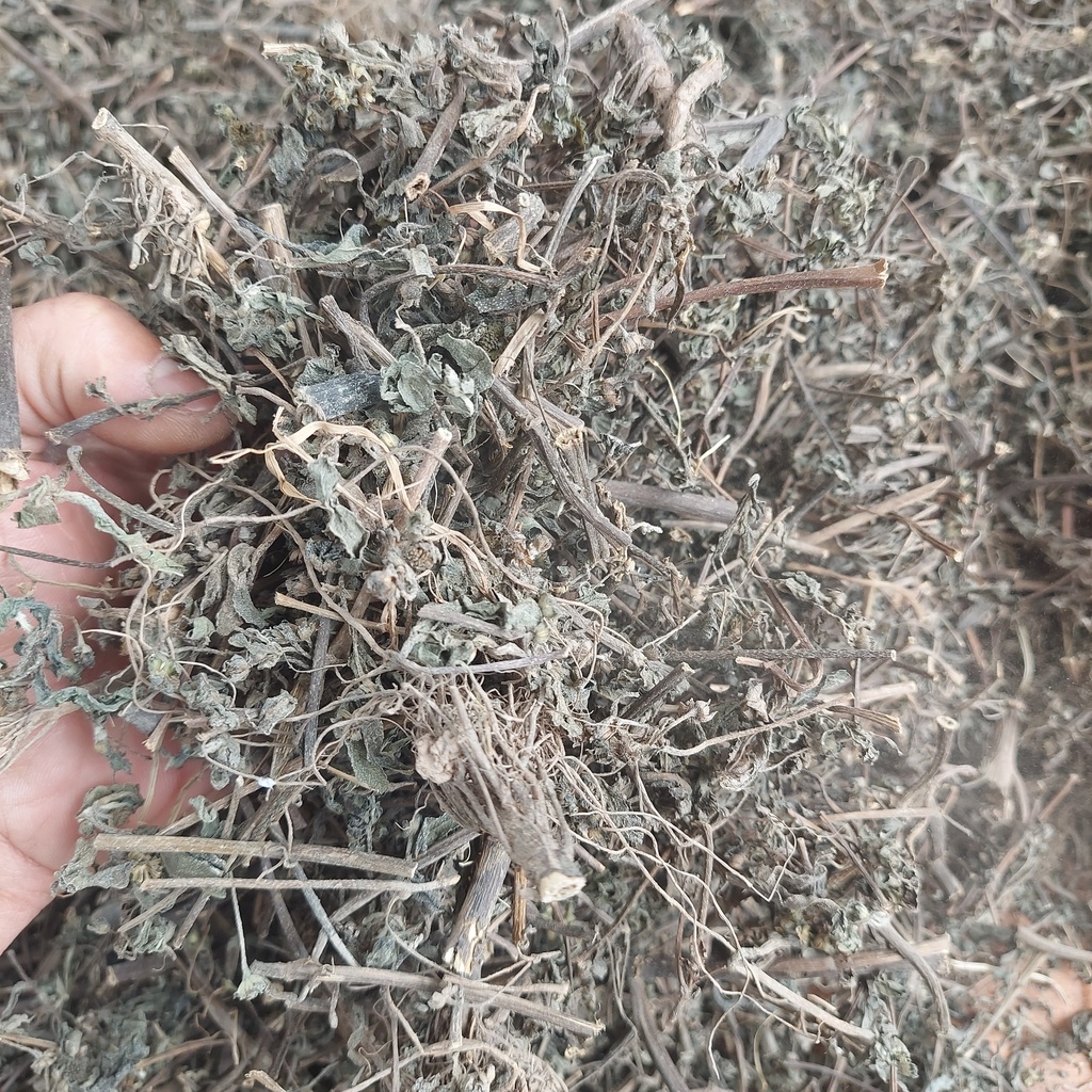 Cỏ mực hàng loại 1 [ CAM KẾT SẠCH ĐẸP ] Cây nhọ nồi khô 1kg