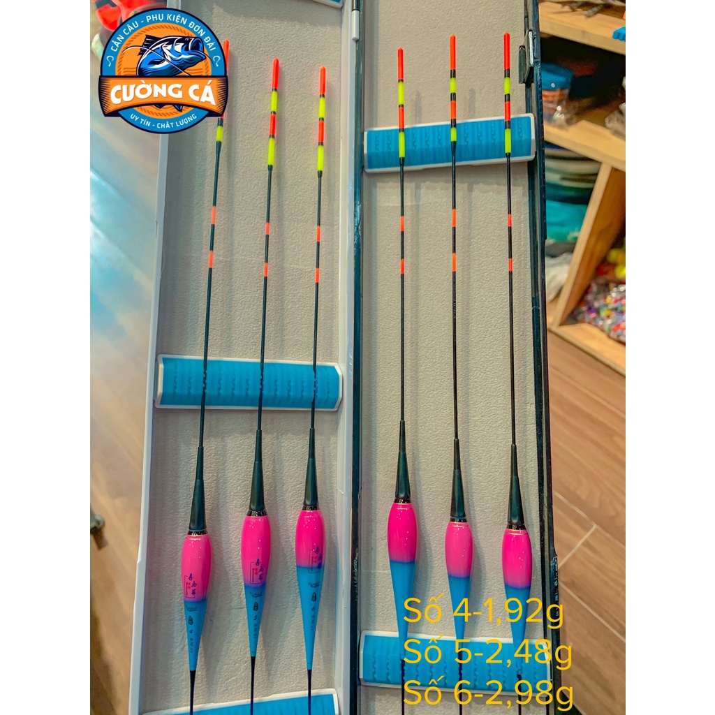 Phao điện đổi màu câu ngày,đêm mã BM01