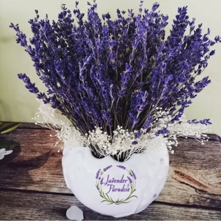 Bình hoa khô Lavender Pháp #BH005
