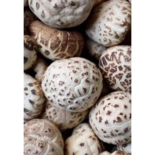 Nấm đông Cô ( Nấm bông) bịch 500gram