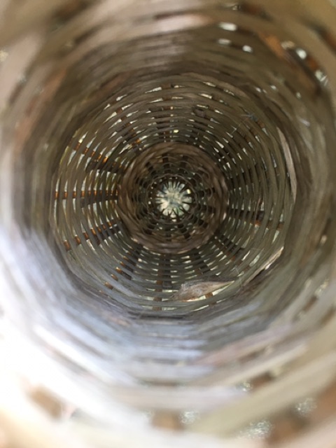 CHÚM  BẮT TÔM, CÁ BỐNG