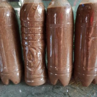 Mắm cáy nguyên chất