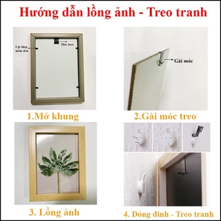 Combo kẹp ảnh album cho khách mua sỉ