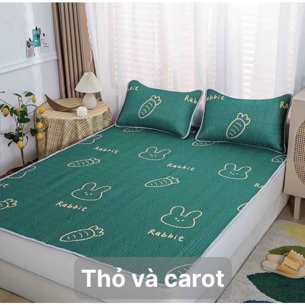 Chiếu điều hòa cao su non 5D Tencel,kích thước m6/m8/2m2, mẫu thỏ và cà rốt