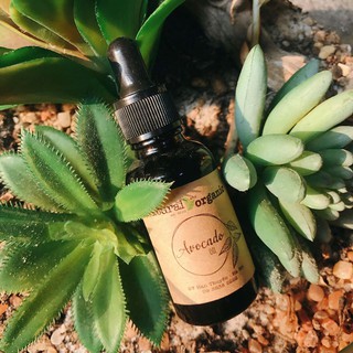 Dầu bơ Avocado oil Mountain Rose herbs