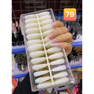 Hộp móng úp sulmar