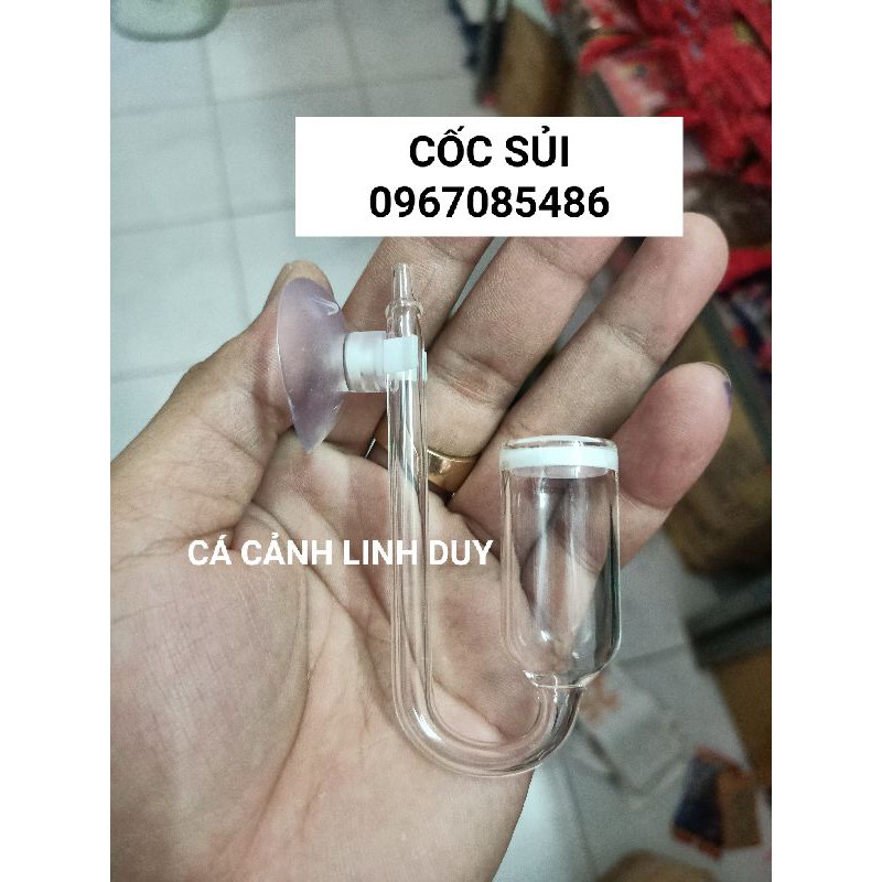 Cốc Sủi Co2 Thủy Tinh Siêu đẹp Và Cốc Sủi Thường