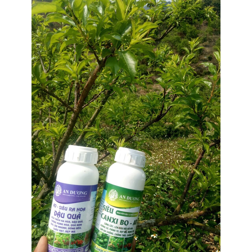 AD - Siêu ra hoa đậu quả 480ml