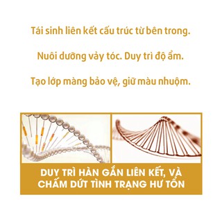 BỘ CHĂM SÓC TÓC CAO CẤP LAVOX BONDPRO+